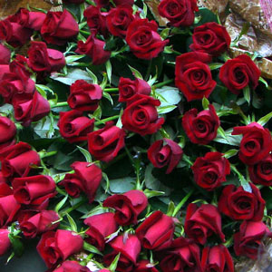 a0047200_17485839.jpg