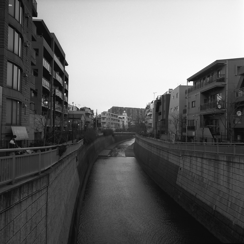 f0109201_10395591.jpg