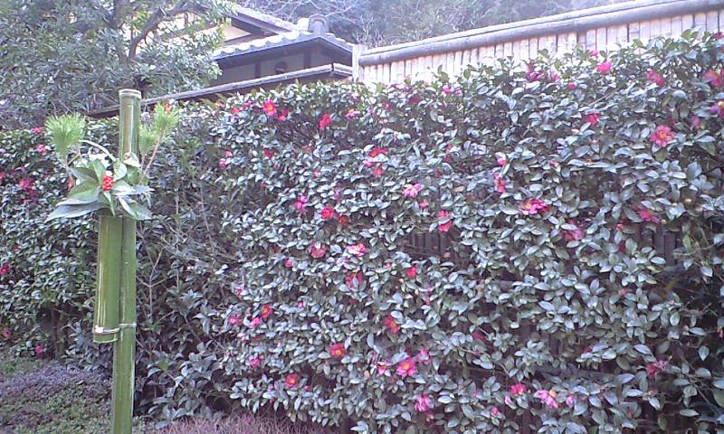 b0083902_2013283.jpg