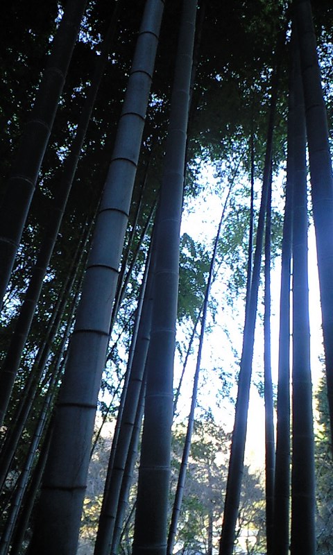 b0083902_204063.jpg