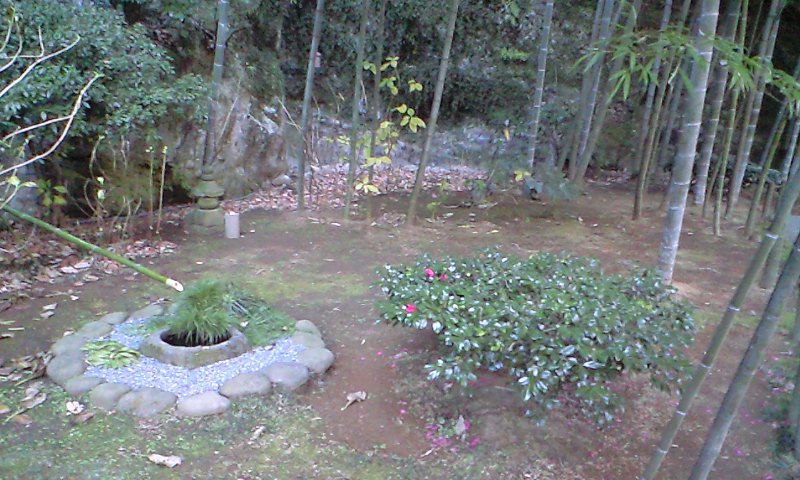 b0083902_20442372.jpg