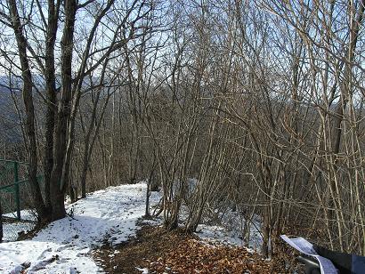 b0116703_25397.jpg
