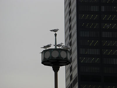 a0041508_16224576.jpg