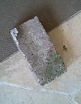 c0004211_15294281.jpg