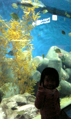 f0041311_2302031.jpg