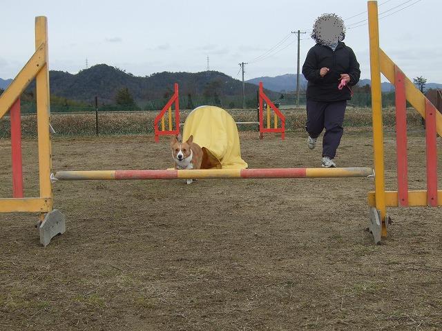 c0127617_21441066.jpg