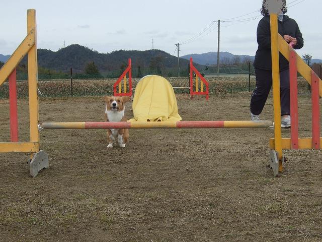 c0127617_21464194.jpg