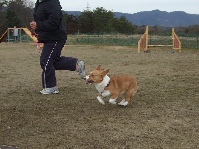 c0127617_21521956.jpg