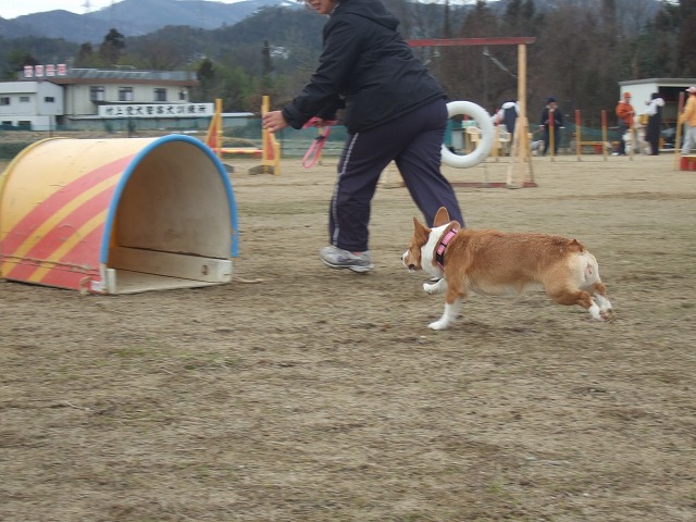 c0127617_21534019.jpg