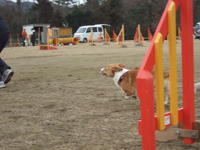 c0127617_21541519.jpg