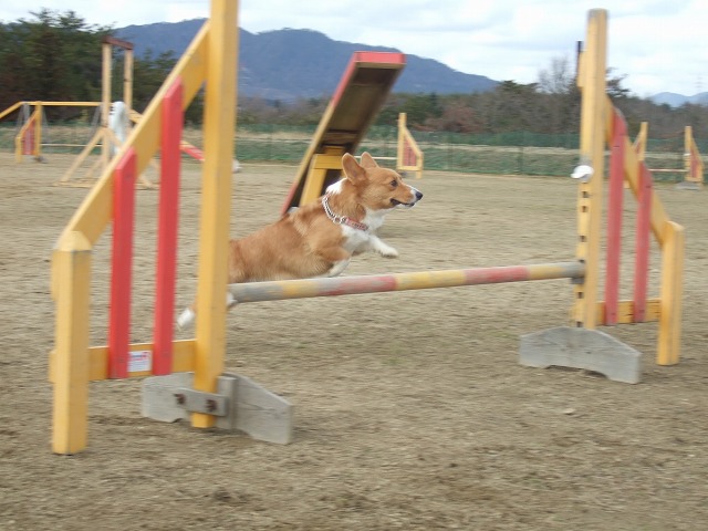 c0127617_22132673.jpg