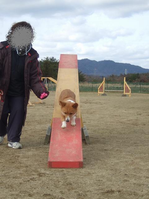 c0127617_22215862.jpg