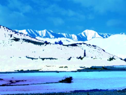 c0083518_10512478.jpg