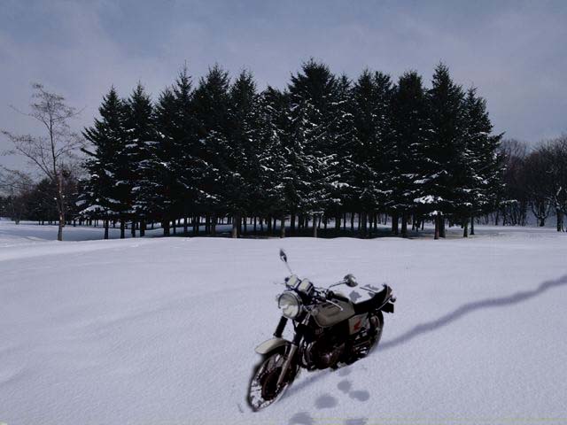 c0083518_22375130.jpg