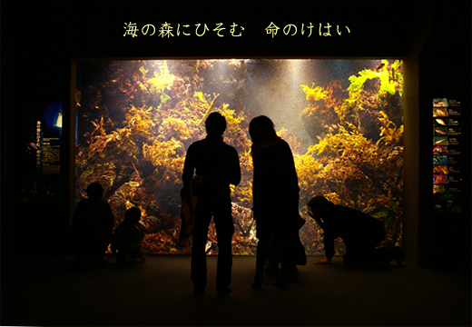 c0147123_23341869.jpg