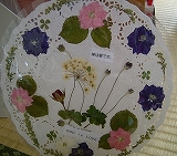 f0037623_224731.jpg