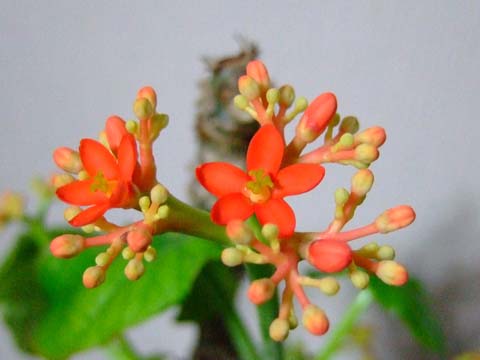 f0147025_161232.jpg