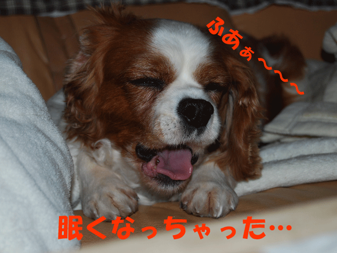 c0136838_2204596.gif
