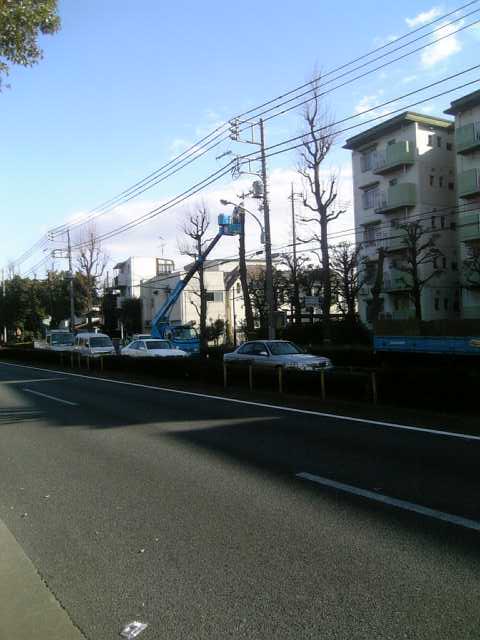 d0022845_20101638.jpg