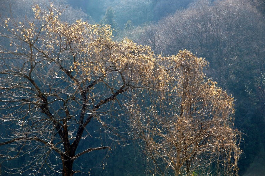 e0009147_1845598.jpg