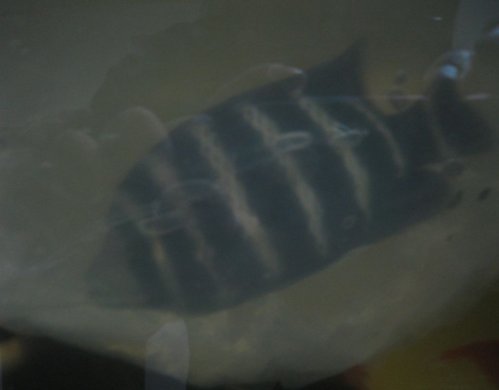 b0082551_22475588.jpg