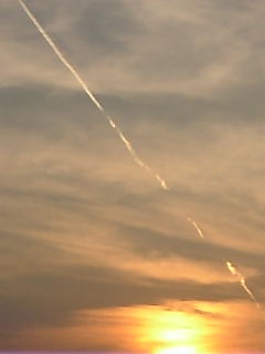 c0069552_10133489.jpg