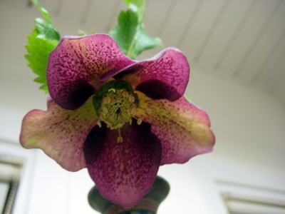 c0147952_18144462.jpg