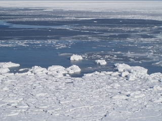 e0004756_14363535.jpg