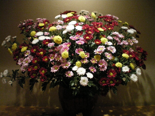 a0066258_22471747.jpg