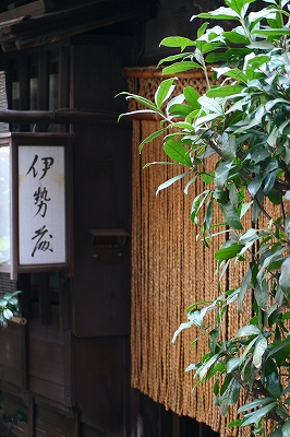 a0098859_21575598.jpg