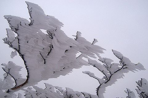 c0123363_1894736.jpg