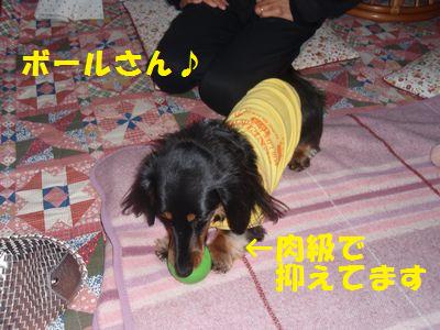 c0151866_2113983.jpg