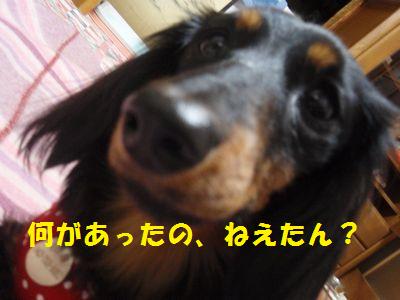 c0151866_21455064.jpg