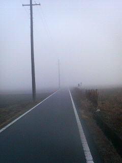 f0157868_12772.jpg