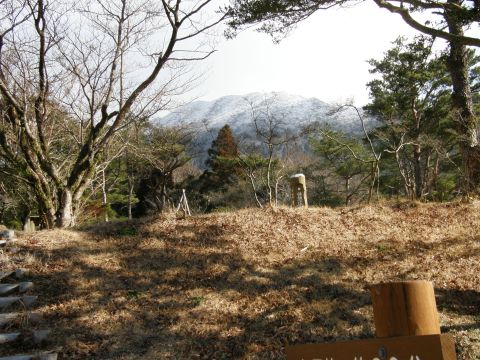 c0042869_18282.jpg