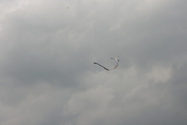 f0088569_9322270.jpg