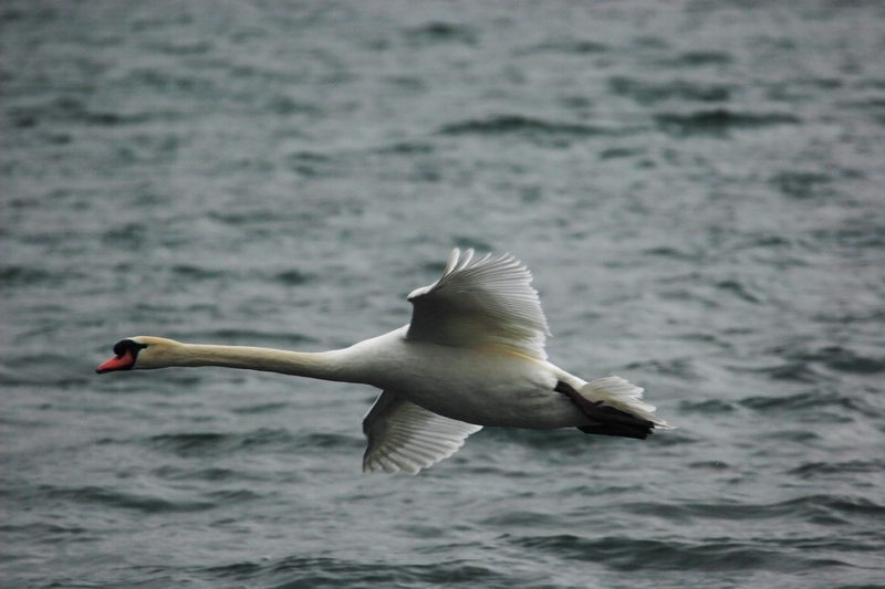 f0105478_2228470.jpg