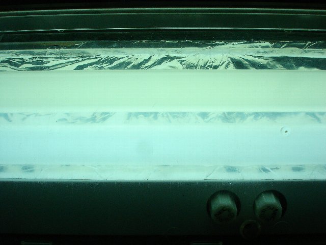 f0087479_1527813.jpg