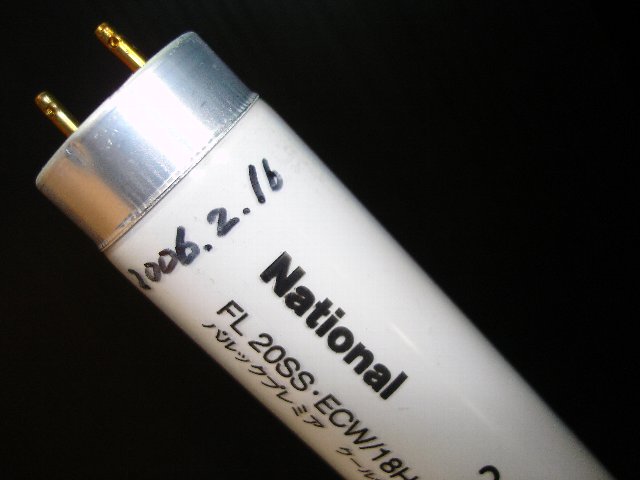 f0087479_1532159.jpg