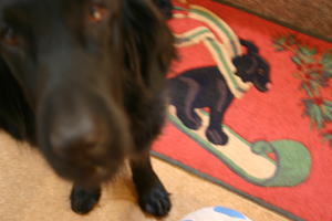 f0045283_13373049.jpg