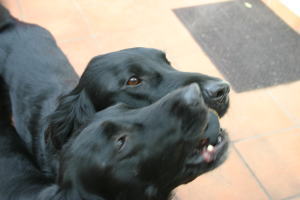 f0045283_13423016.jpg