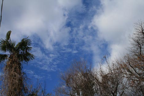 e0100589_12262056.jpg