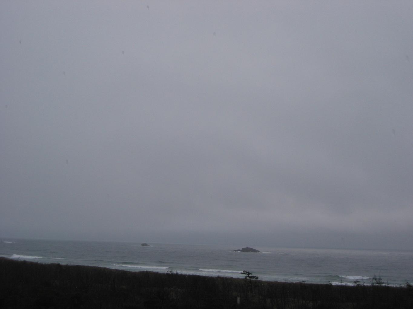 f0131491_18475741.jpg