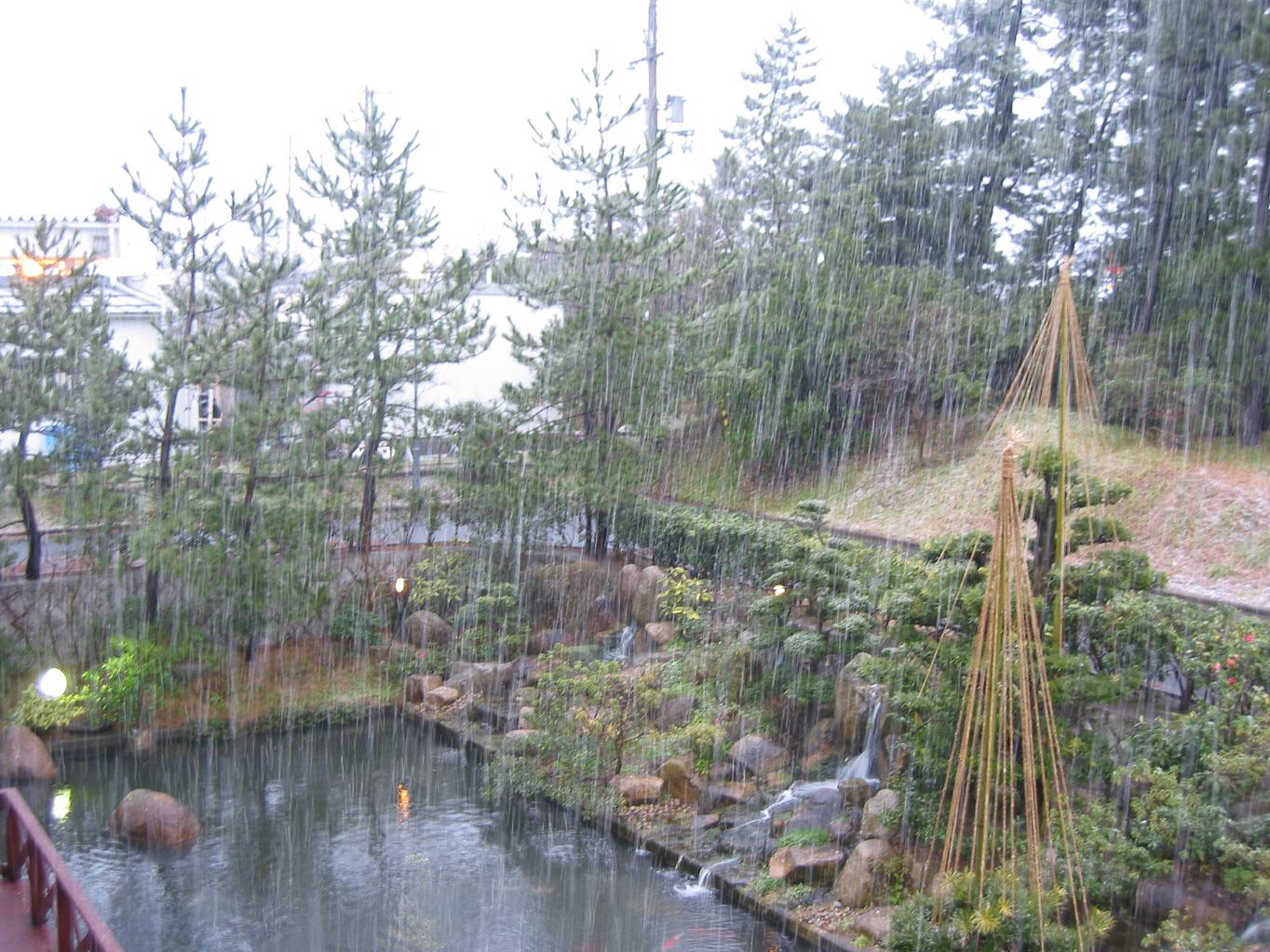 f0131491_1849589.jpg