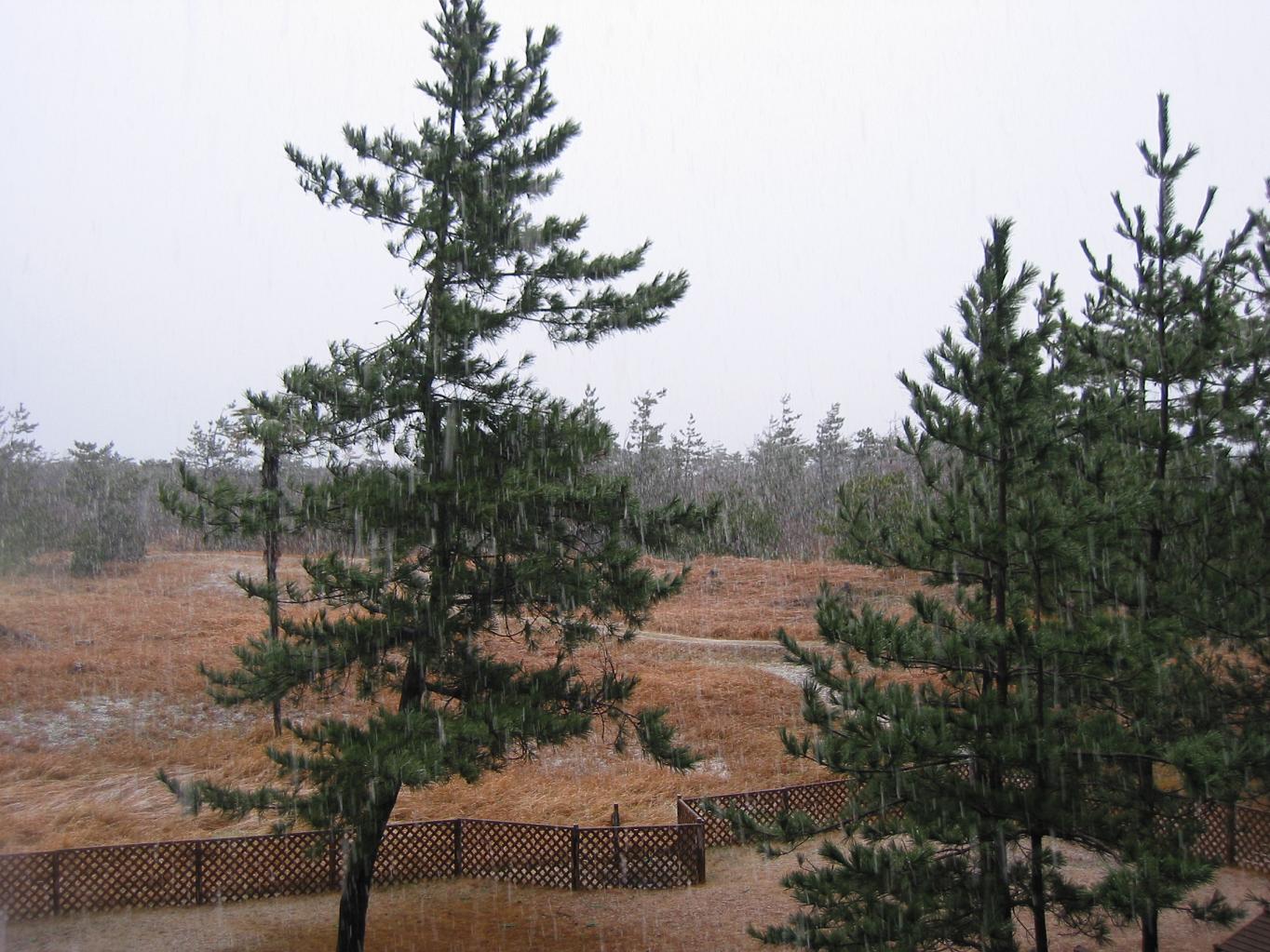 f0131491_1850953.jpg