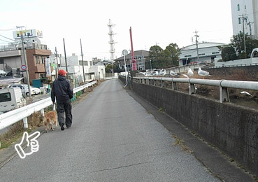 c0096393_033271.jpg