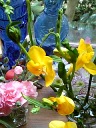 e0122194_859121.jpg
