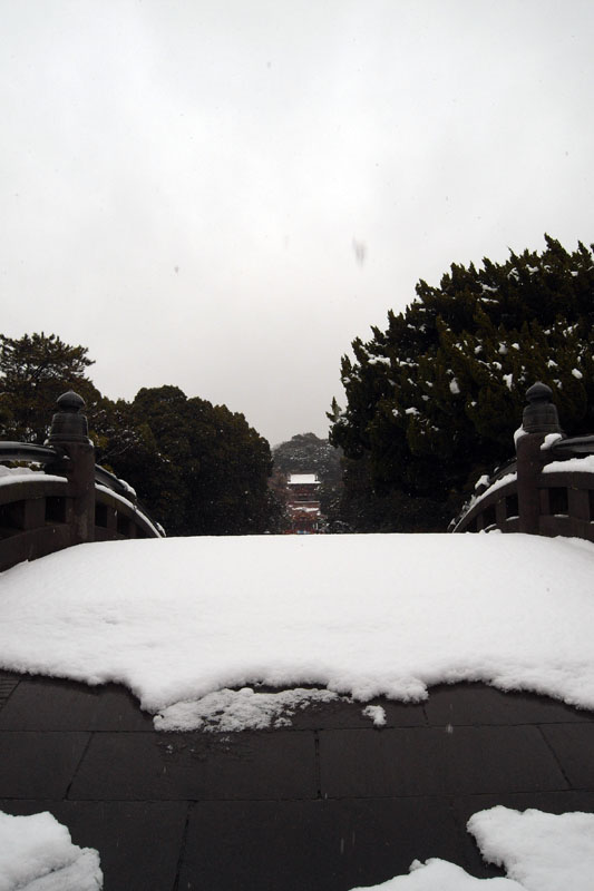 PHOTO:鶴岡八幡宮