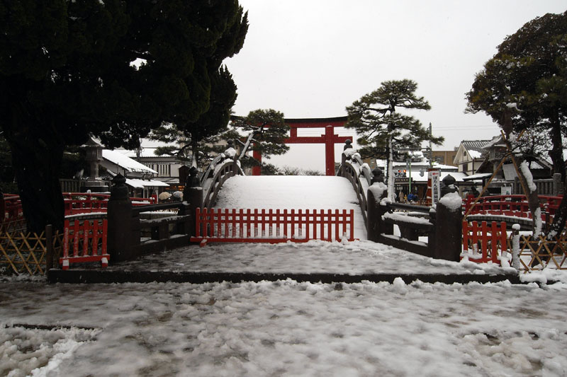 PHOTO:鶴岡八幡宮
