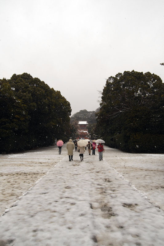 PHOTO:鶴岡八幡宮